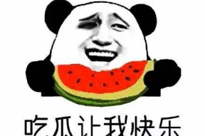 做一名合格的吃瓜群众,如何成为一名合格的“瓜农”