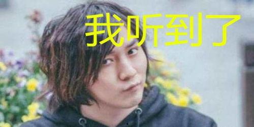 娱乐吃瓜酱用的哪个配音,揭秘配音背后的神秘魅力