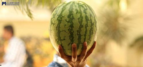 最近娱乐圈的吃瓜