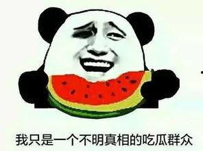 吃瓜群众网络新词,网络新词背后的社会现象解析